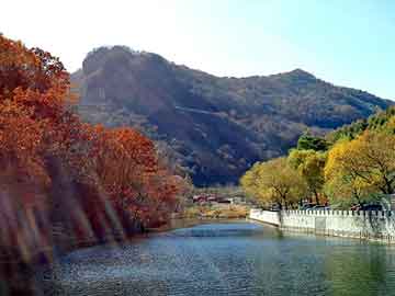 管家婆黑白马报图库，孔雀神木